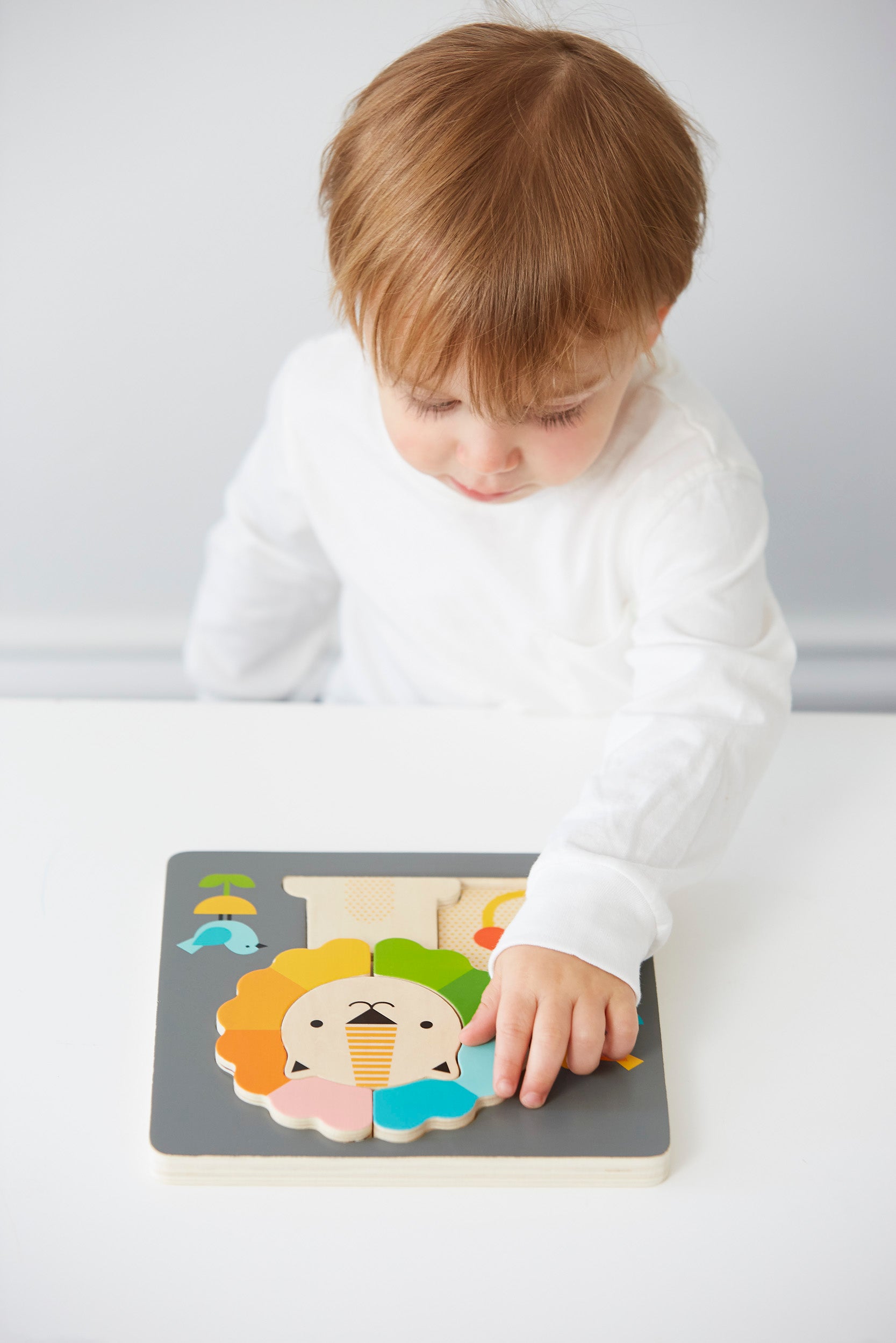A young child in a white shirt places a piece into the Petit Collage Little Lion Chunky Wood Puzzle on a white table.