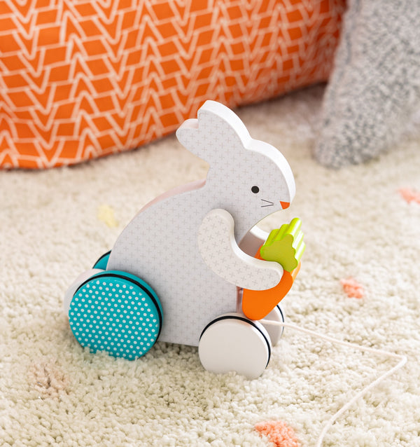 Busy Bunny Pull Toy
