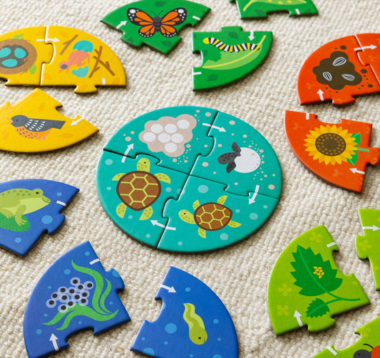 The Discovery Puzzle: Life Cycle by Petit Collage, a circular jigsaw with green, blue, orange, and yellow animal and plant pieces, is assembled and scattered on a beige carpet.