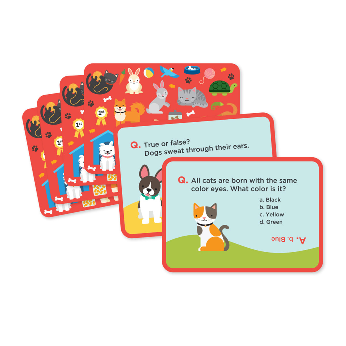 Petit Collage Trivia 50 Carte Quiz Sugli Animali Domestici - Gioco Educativo Per Bambini Dai 5 Anni